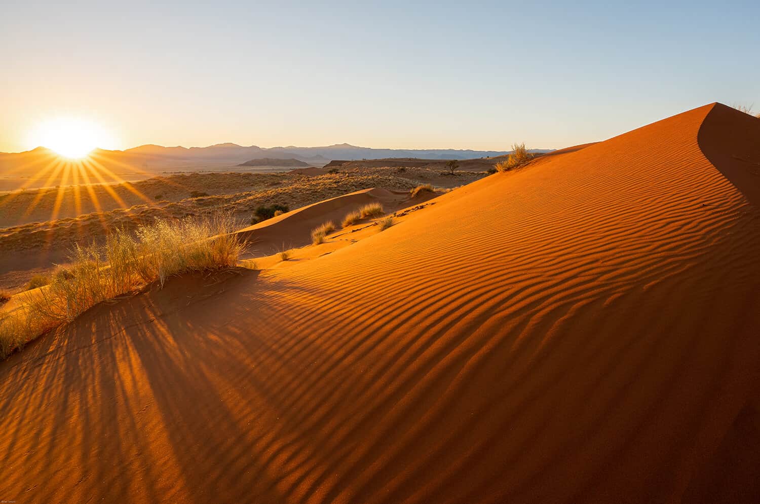 Dünen in der Namib Wüste