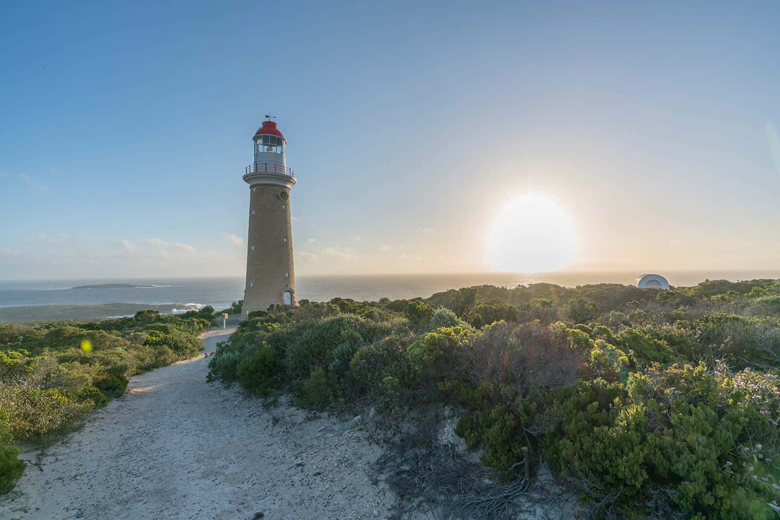 Lighthouse beim Sonnenuntergang.|Remarkable Rocks Mittagssonne|Koala dösend|Wallaby aufrecht stehend|Vivonne Bay Kangaroo Island