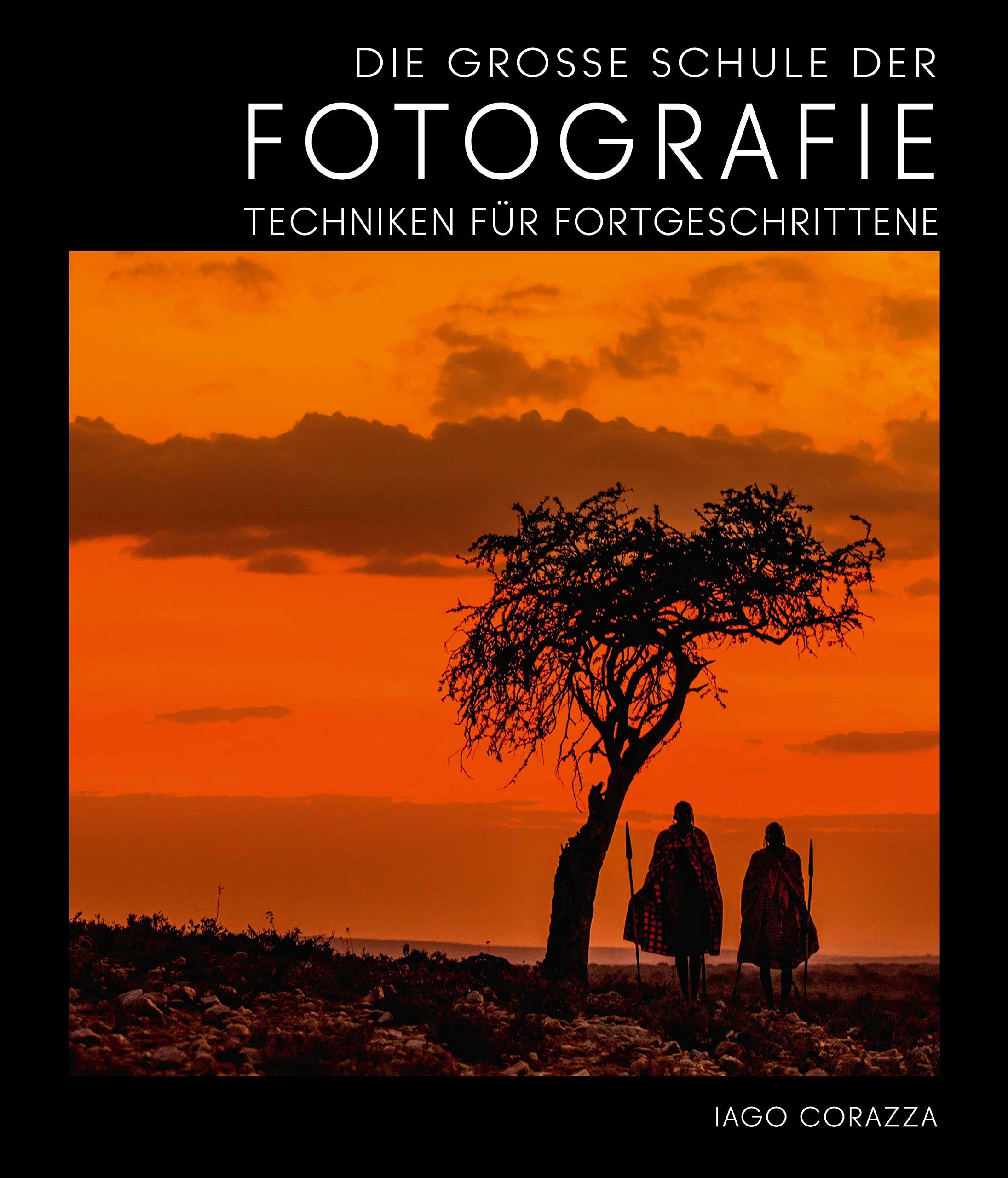 Buch: Die Große Schule der Fotografie: Techniken für Fortgeschrittene