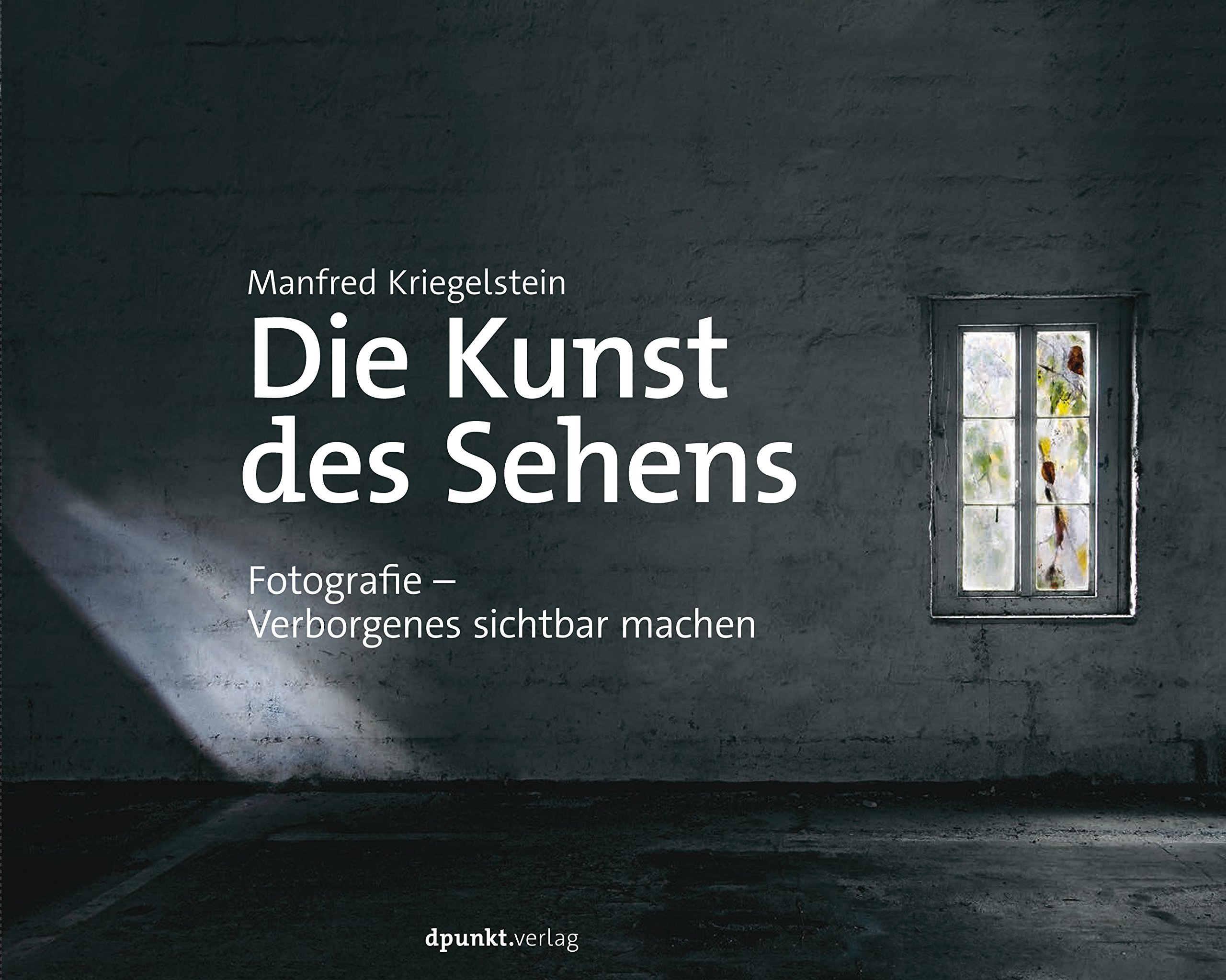 Die Kunst des Sehens, Autor: Manfred Kriegelstein Verlag: dpunkt Verlag